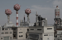 東京プロトコル