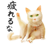 疲れるな猫侍LINEスタンプ