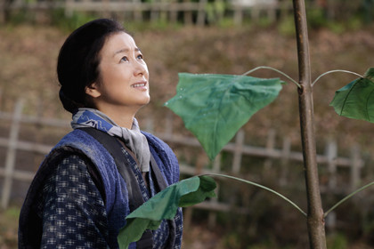 おかあさんの木3