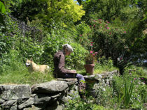 %e3%82%bf%e3%83%bc%e3%82%b7%e3%83%a3%e3%83%bb%e3%83%86%e3%83%a5%e3%83%bc%e3%83%80%e3%83%bc_%ef%bc%91c2017-%e6%98%a0%e7%94%bb%e3%80%8c%e3%82%bf%e3%83%bc%e3%82%b7%e3%83%a3%e3%83%bb%e3%83%86%e3%83%a5