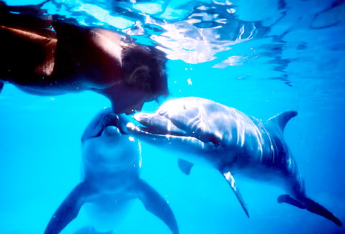 ドルフィン・マン～ジャック・マイヨール