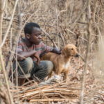風をつかまえた少年