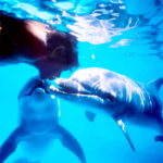 ドルフィン・マン～ジャック・マイヨール