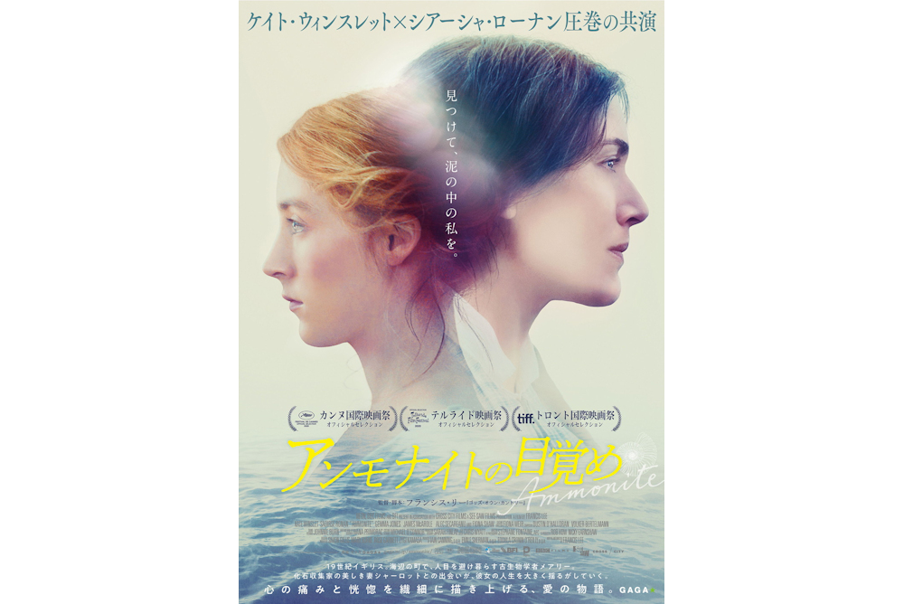 アンモナイトの目覚め