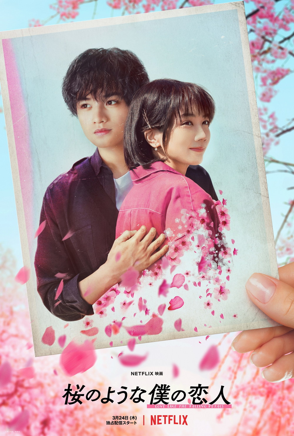 中島健人×松本穂香『桜のような僕の恋人』