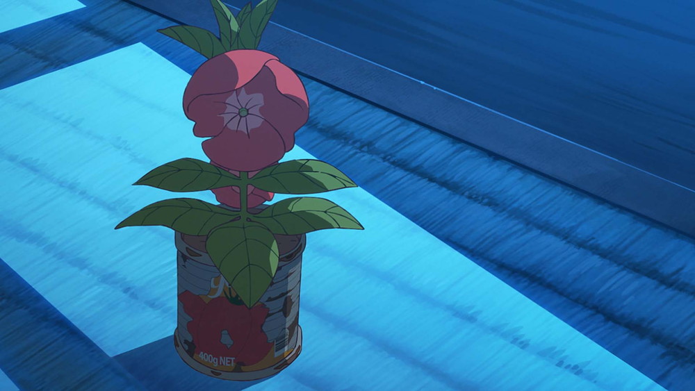 『ホウセンカ』