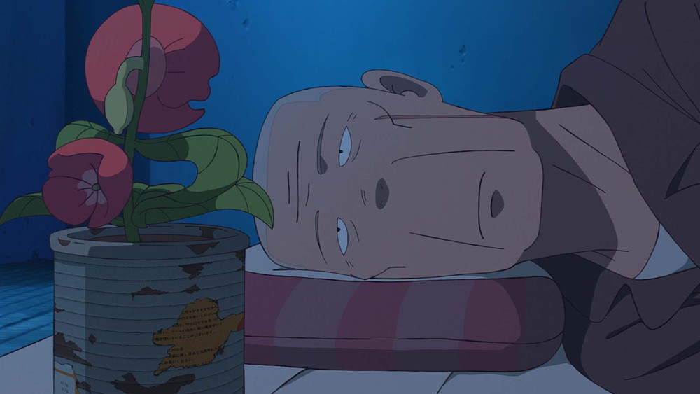 『ホウセンカ』