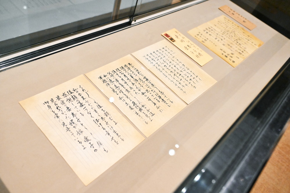 あの花が咲く丘で、君とまた出会えたら。』