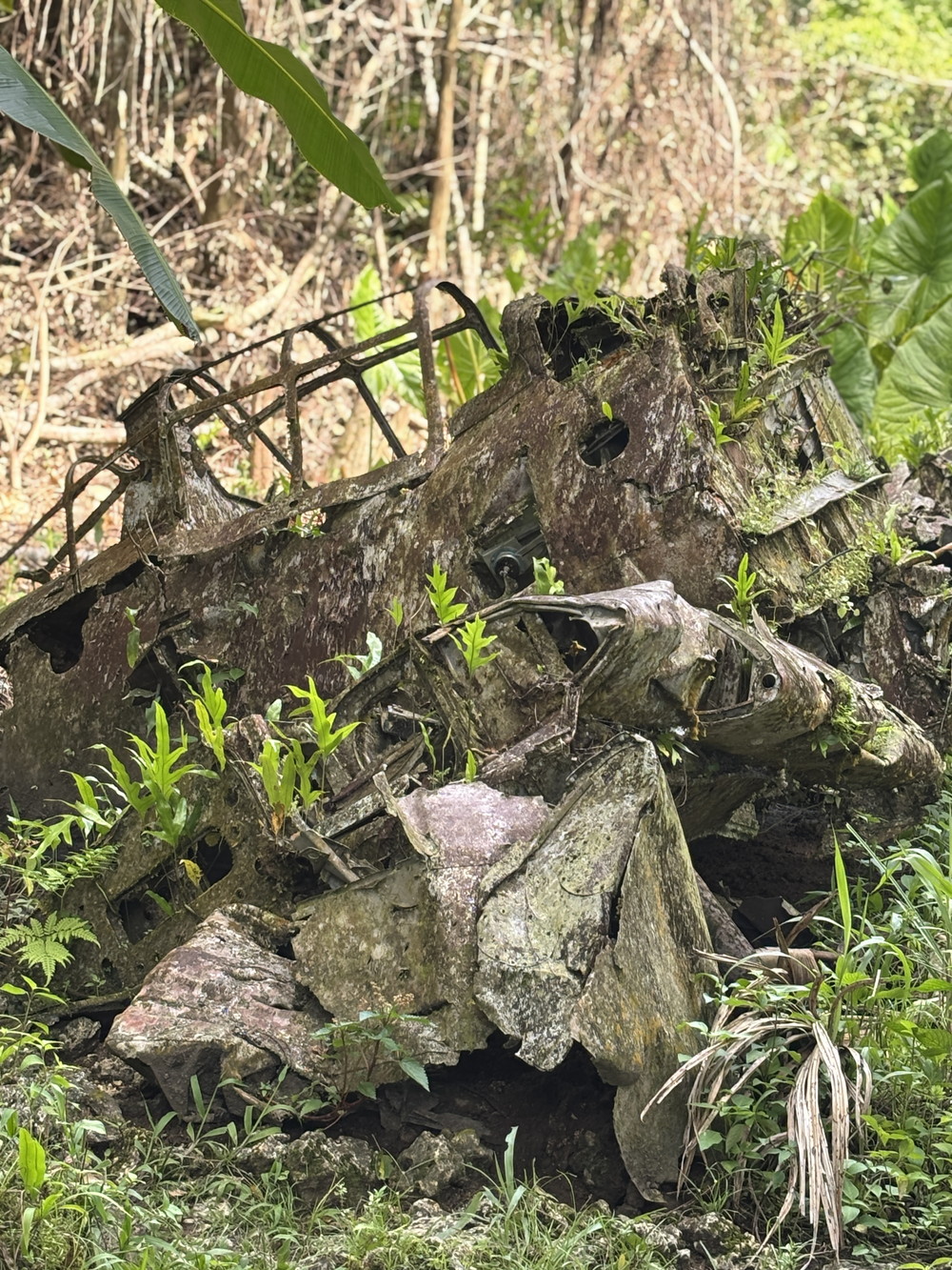 『ペリリュー ー楽園のゲルニカー』