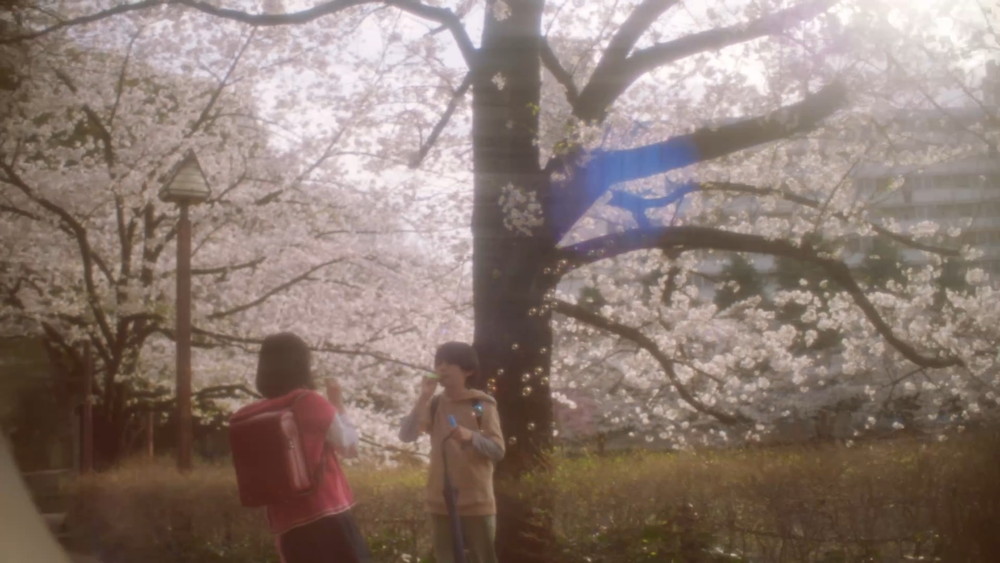 『秒速5センチメートル』場面写真11点を一挙解禁
