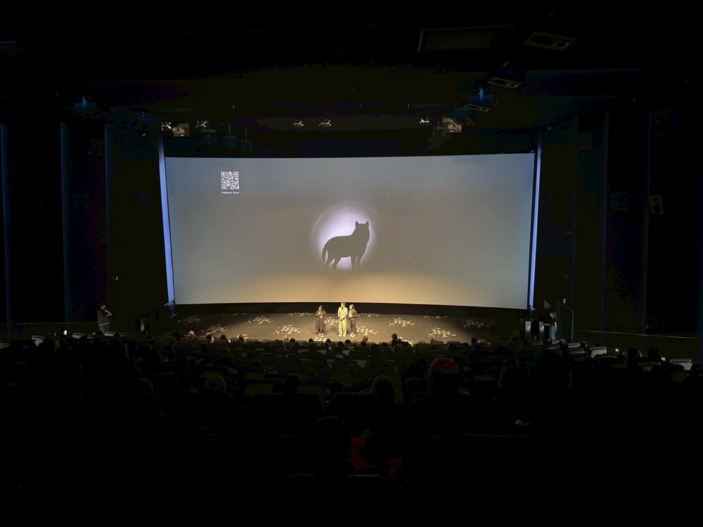 『架空の犬と嘘をつく猫』