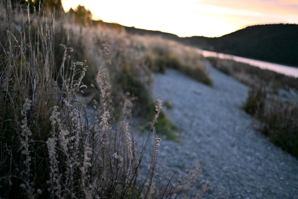 『楓』福士蒼汰