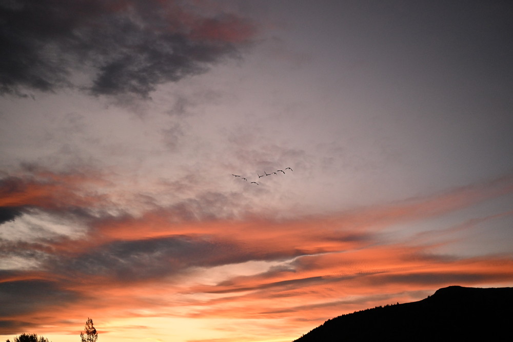 『楓』福士蒼汰