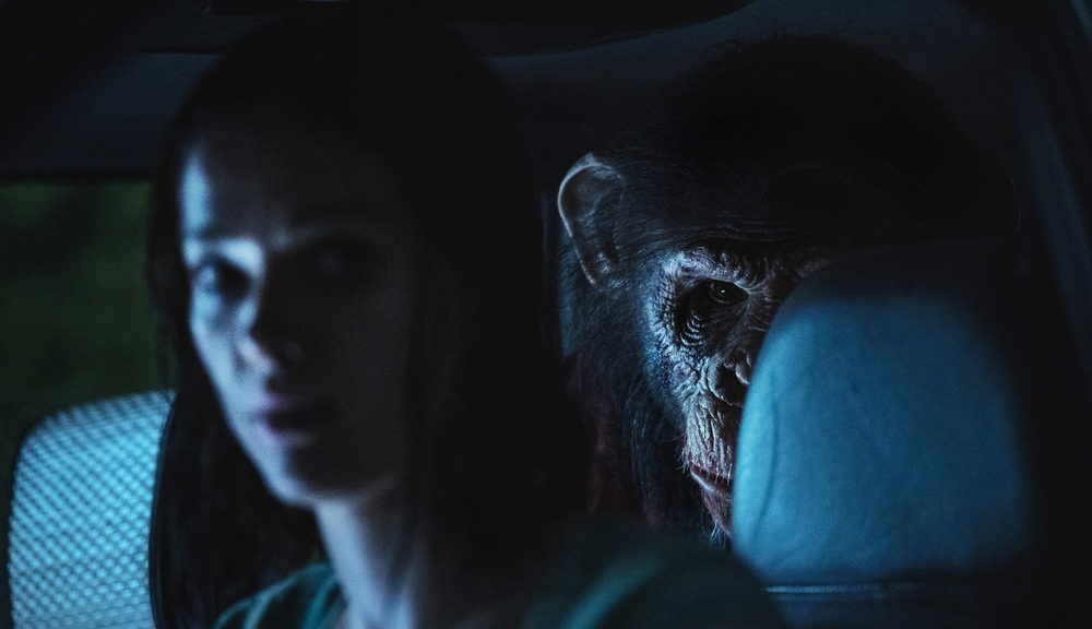 『おさるのベン』