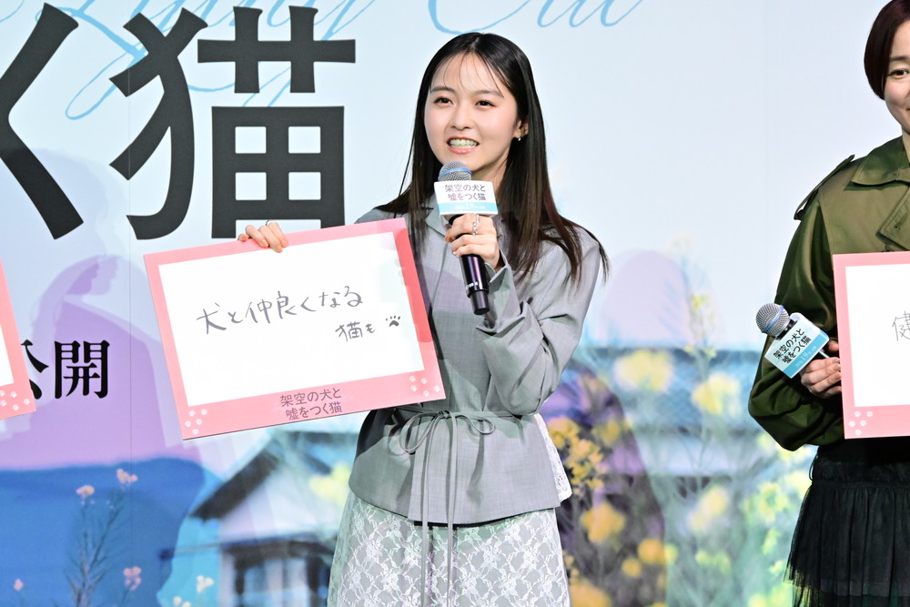 『架空の犬と嘘をつく猫』