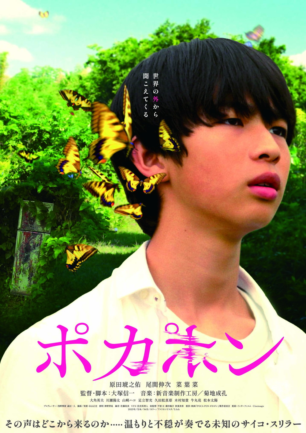 POCAPON ポカポン