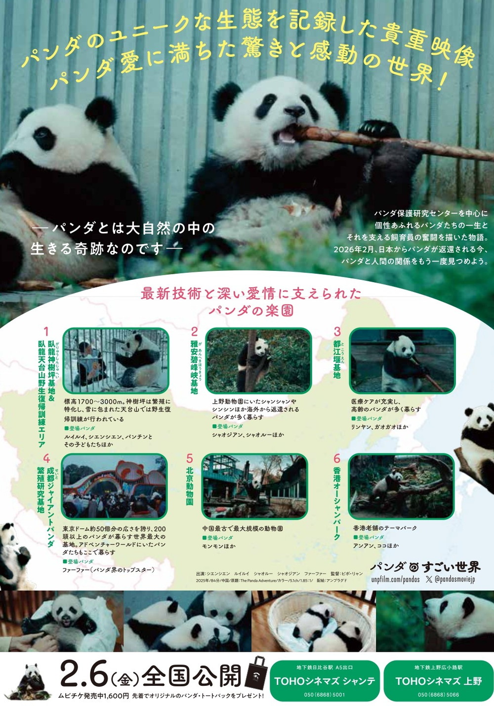 『パンダのすごい世界』