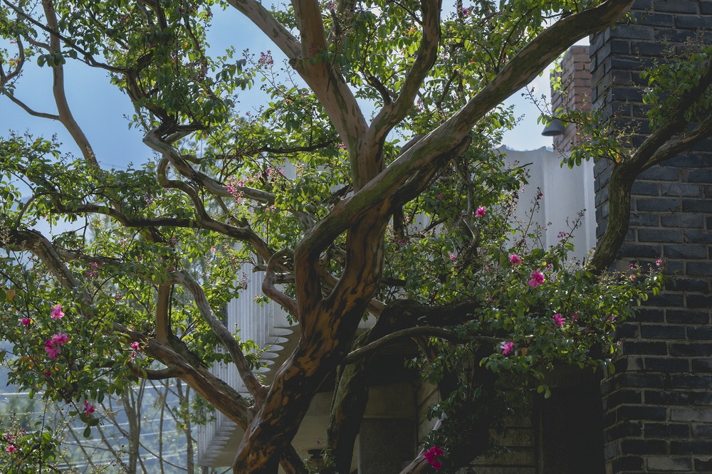 しあわせな選択