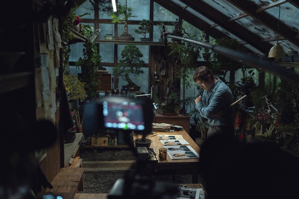 しあわせな選択