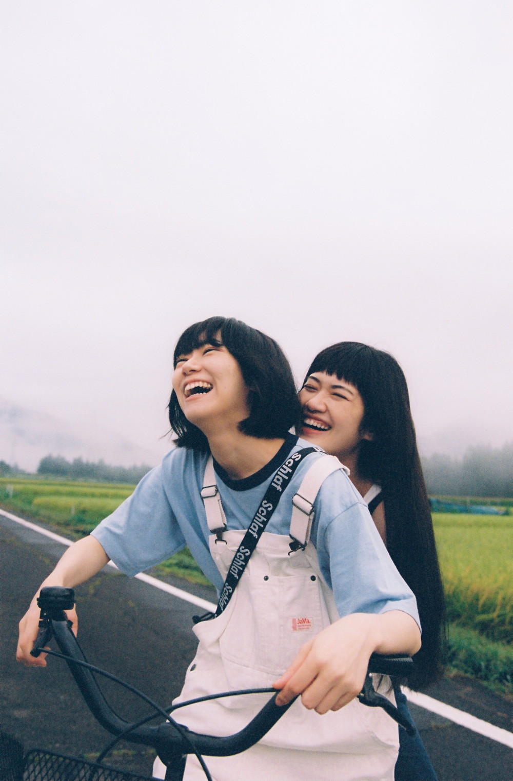 『生きているんだ友達なんだ』